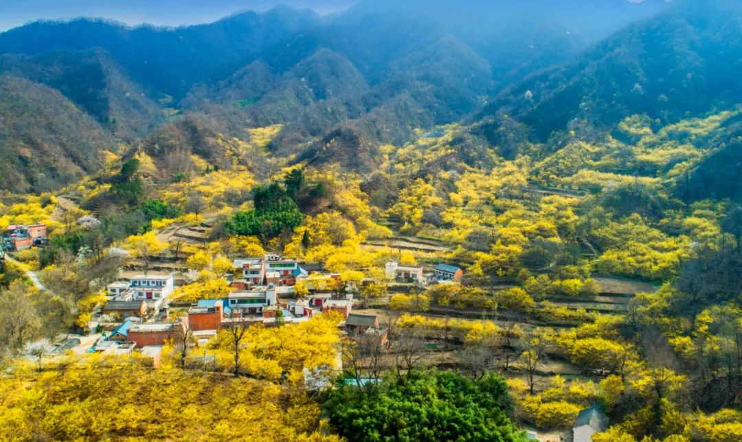 西峽縣被授予第四批“國家生態(tài)文明建設(shè)示范市縣”榮譽(yù)稱號